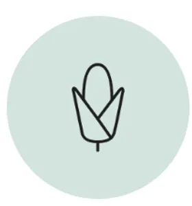 Pygmy Demo Store